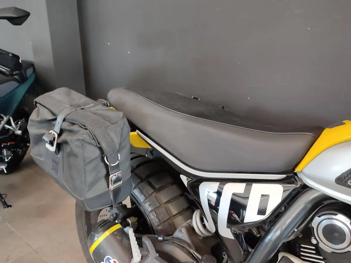Ducati Scrambler 800 Icon (2023 - 24) (5)