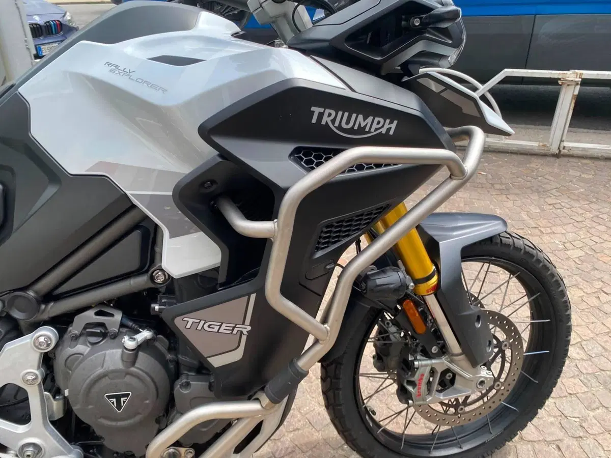 Triumph Tiger 1200 Rally Explorer (2024 - 26) (7)