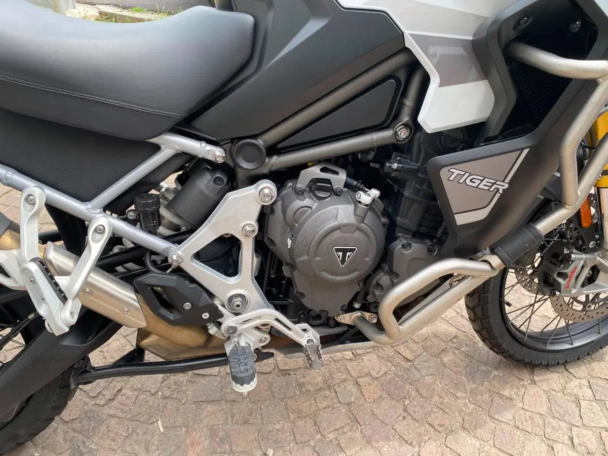 Triumph Tiger 1200 Rally Explorer (2024 - 26) (8)