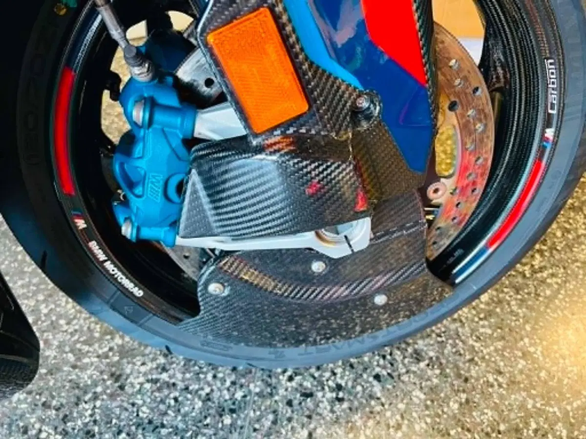 Bmw M 1000 RR (2023 - 24) (3)