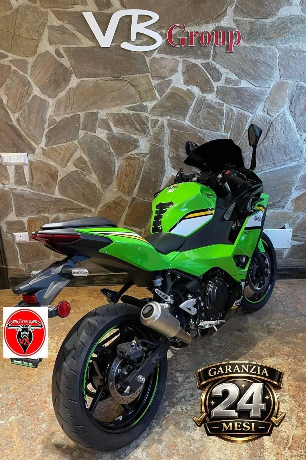 Kawasaki Ninja 500 (2024 - 26) (4)