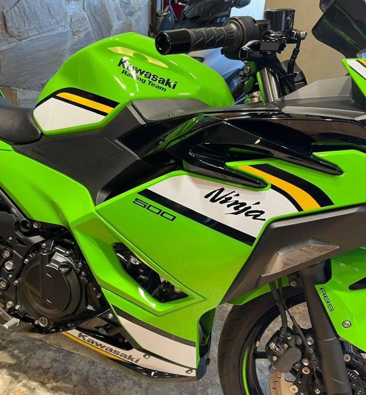 Kawasaki Ninja 500 (2024 - 26) (8)