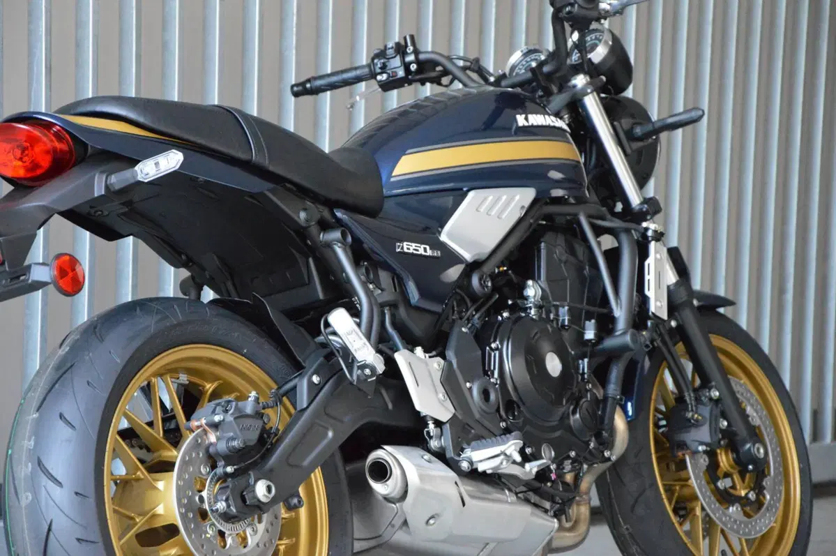 Kawasaki Z 650 RS (2025 - 26) (4)