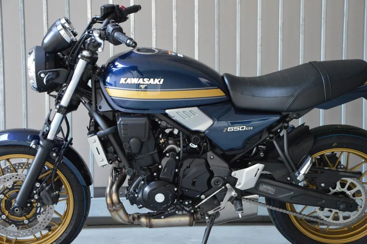 Kawasaki Z 650 RS (2025 - 26) (6)