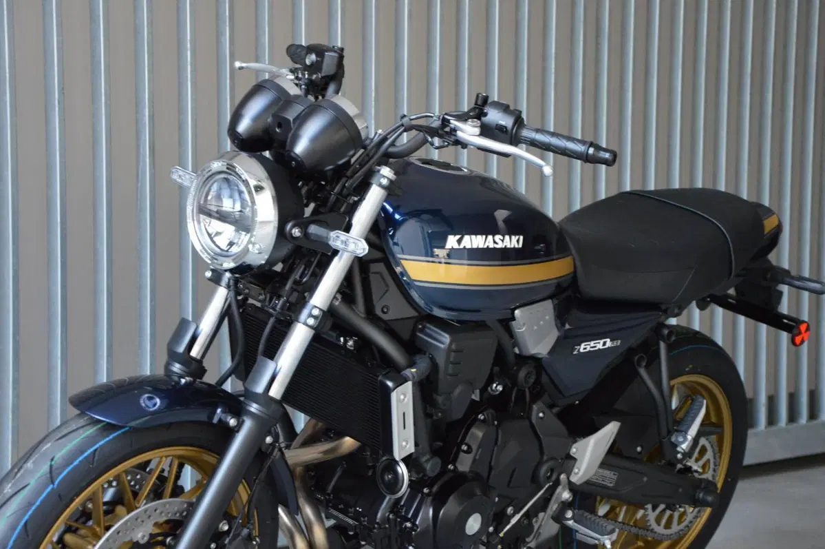 Kawasaki Z 650 RS (2025 - 26) (8)