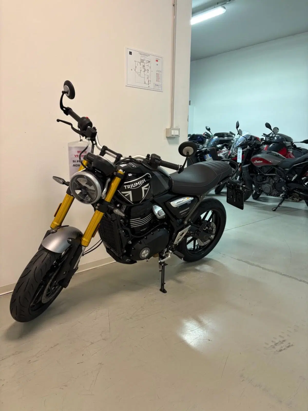 Triumph Speed 400 (2024 - 26)