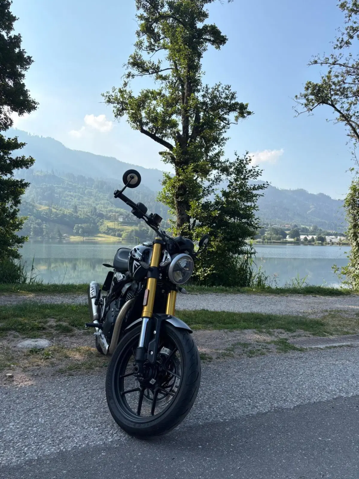 Triumph Speed 400 (2024 - 26) (6)