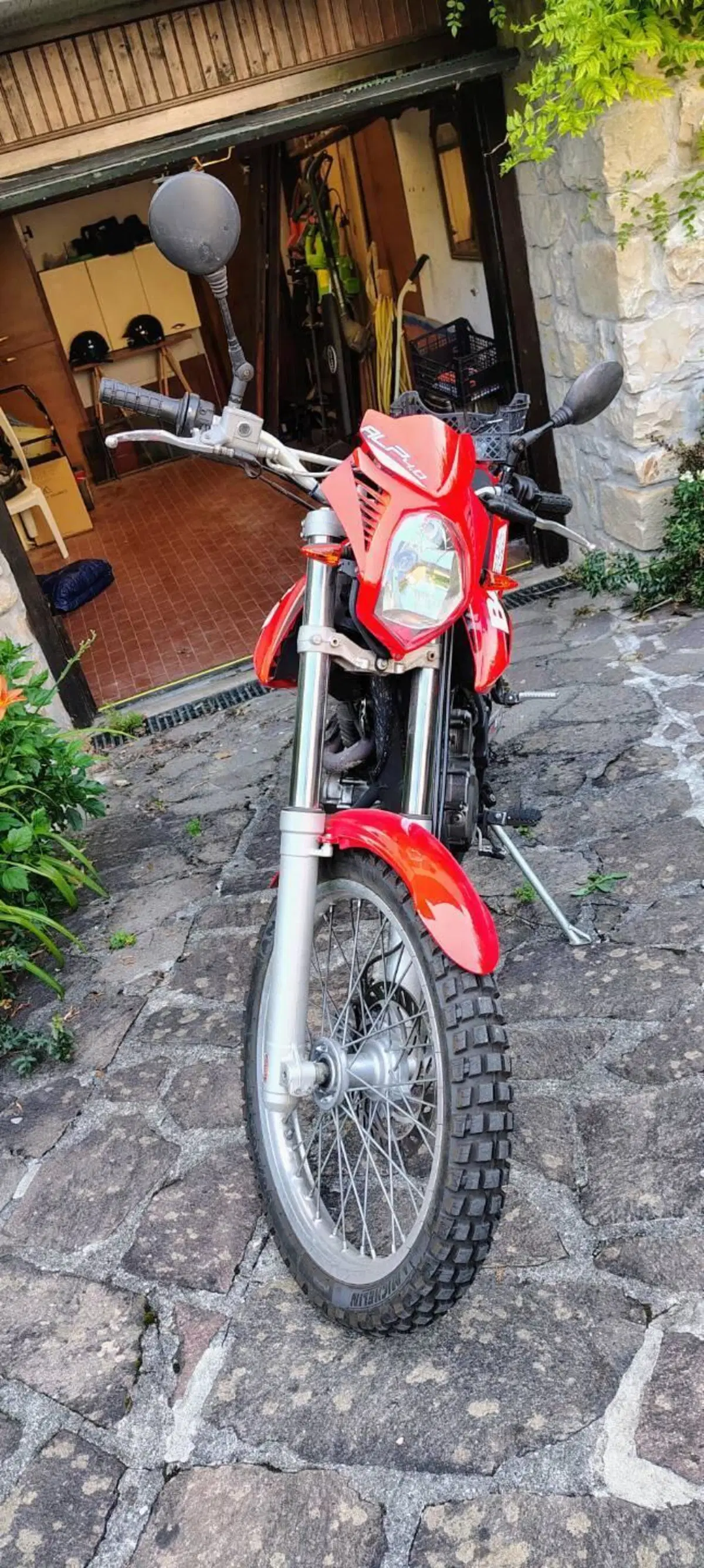 Betamotor Alp 4.0 (2008 - 17)