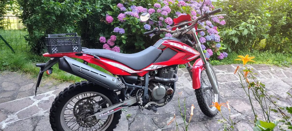 Betamotor Alp 4.0 (2008 - 17) (2)