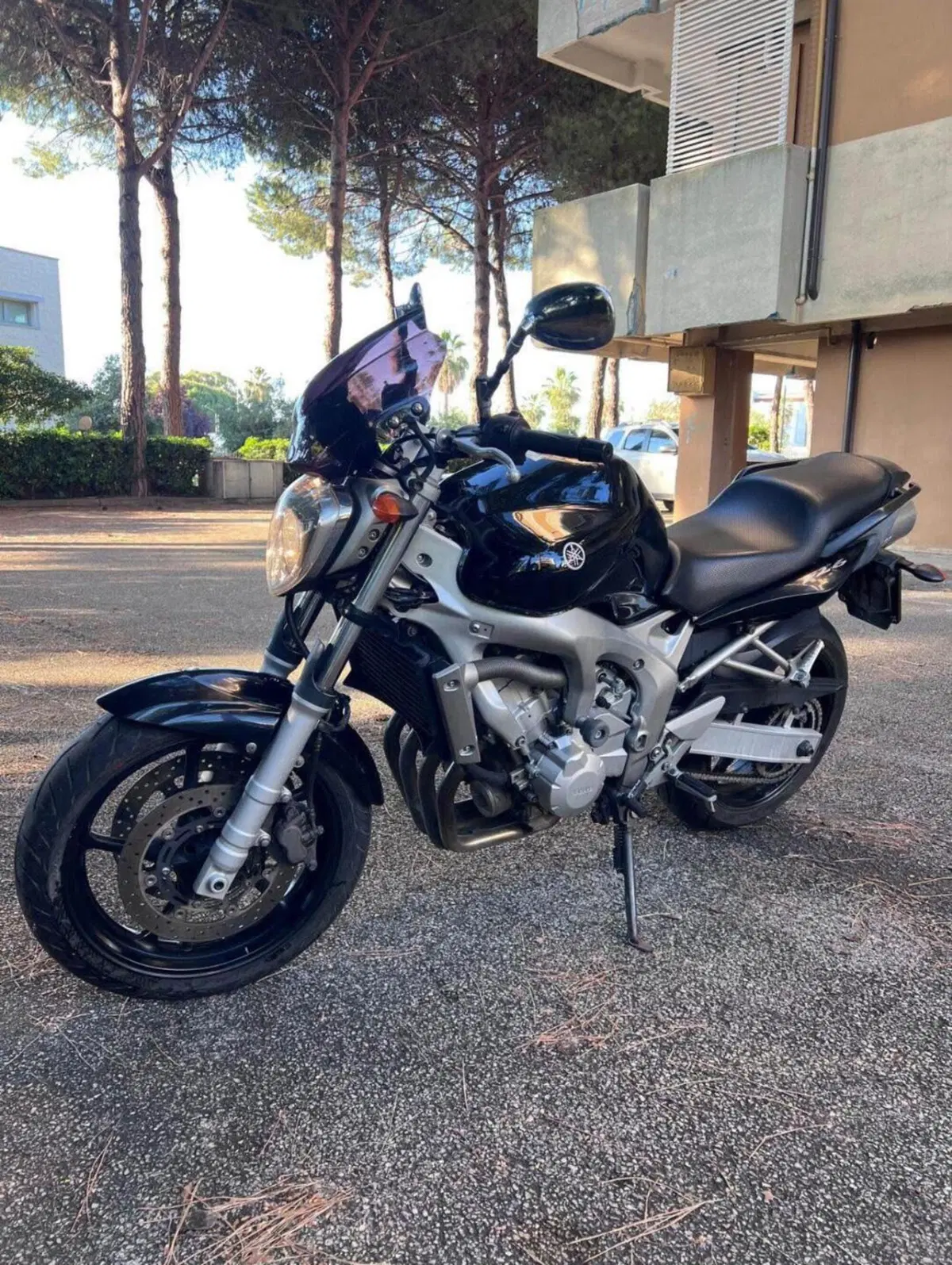 Yamaha FZ6 (2004 - 07) (2)