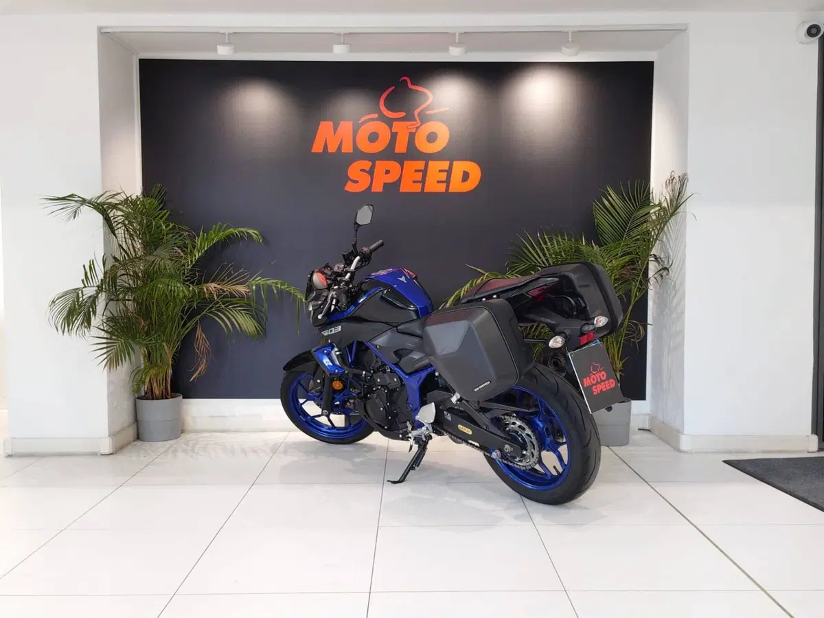 Yamaha MT-03 (2018 - 19) (6)