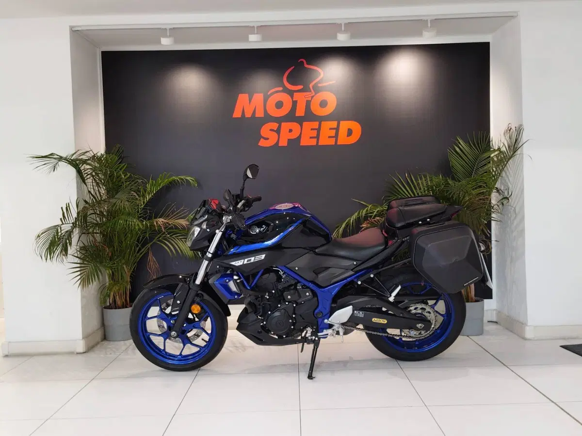 Yamaha MT-03 (2018 - 19) (5)