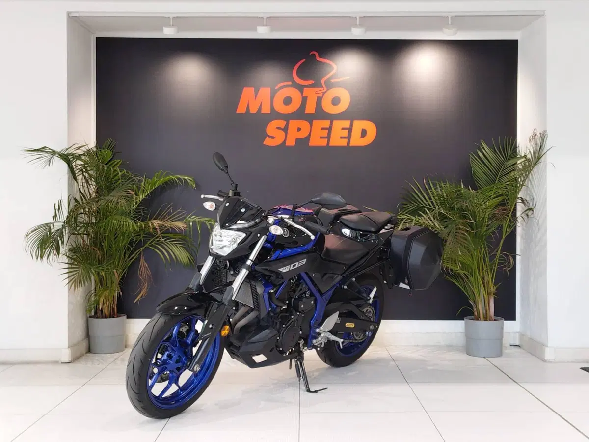 Yamaha MT-03 (2018 - 19) (4)