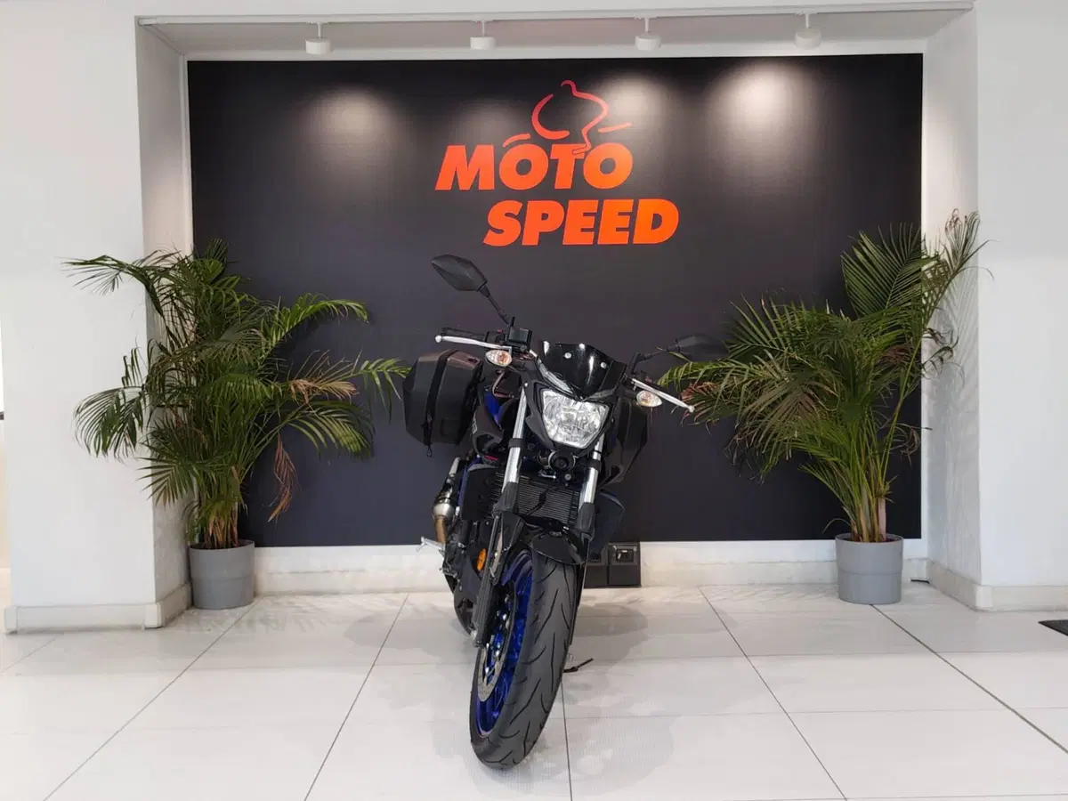 Yamaha MT-03 (2018 - 19) (3)