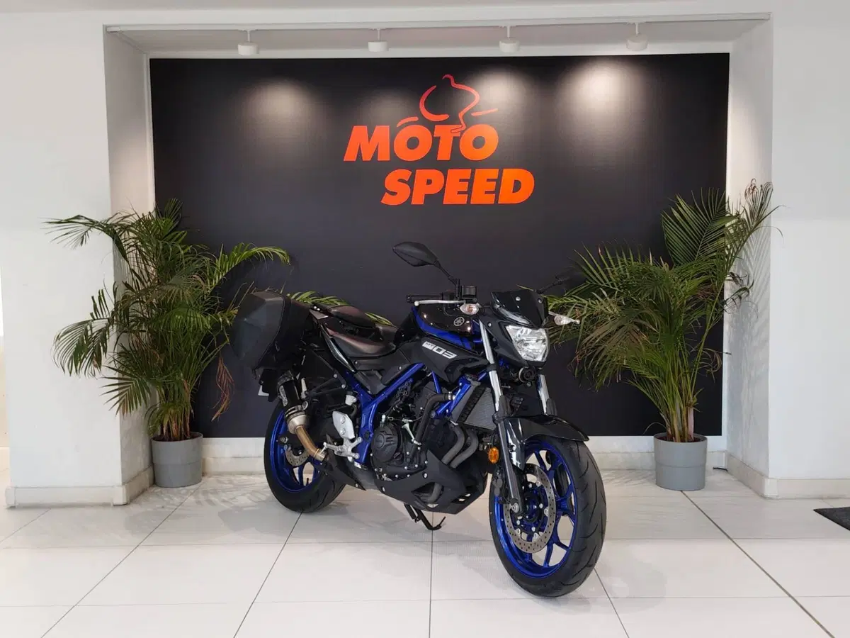 Yamaha MT-03 (2018 - 19) (2)