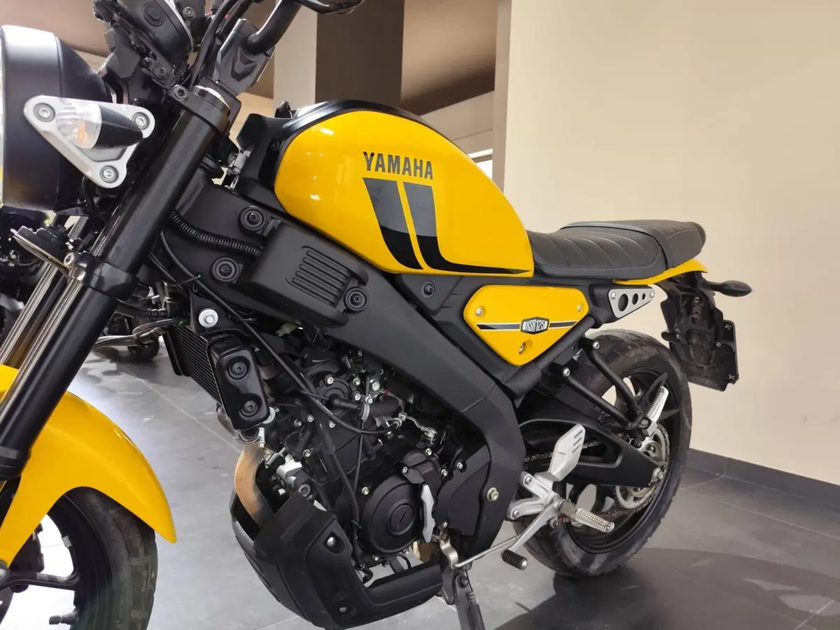 Yamaha XSR 125 (2021 - 24) (5)