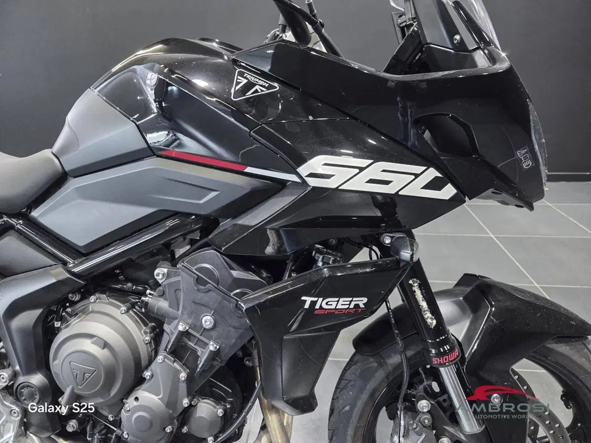 Triumph Tiger Sport 660 (2025) (6)
