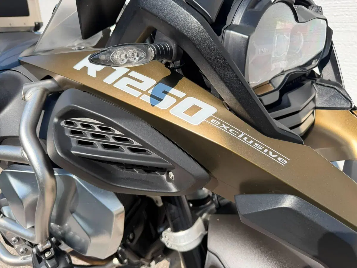 Bmw R 1250 GS Adventure (2019 - 20) (7)