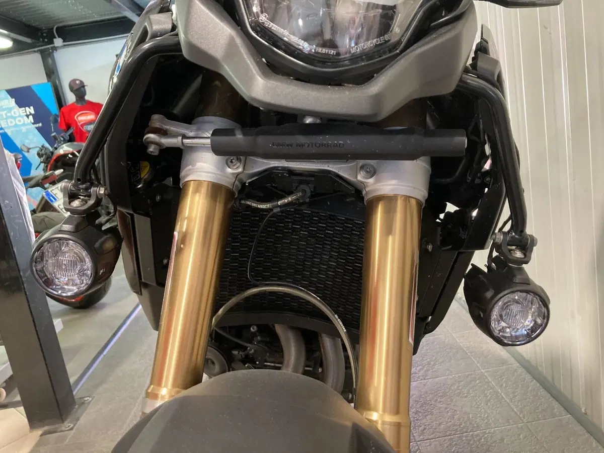 Bmw F 900 GS (2024 - 26) (6)