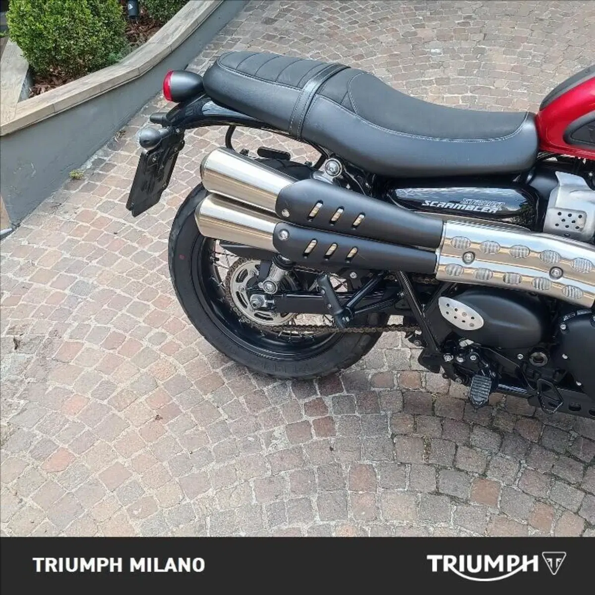 Triumph Street Scrambler 900 (2019 - 20) (2)