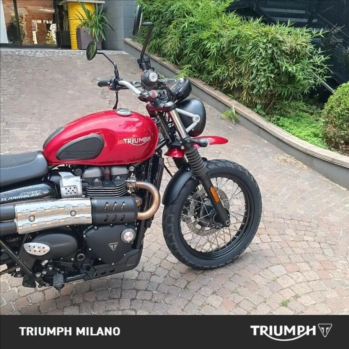 Triumph Street Scrambler 900 (2019 - 20) (3)