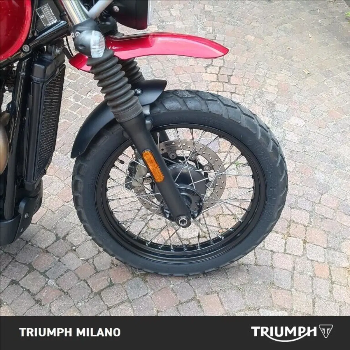 Triumph Street Scrambler 900 (2019 - 20) (4)