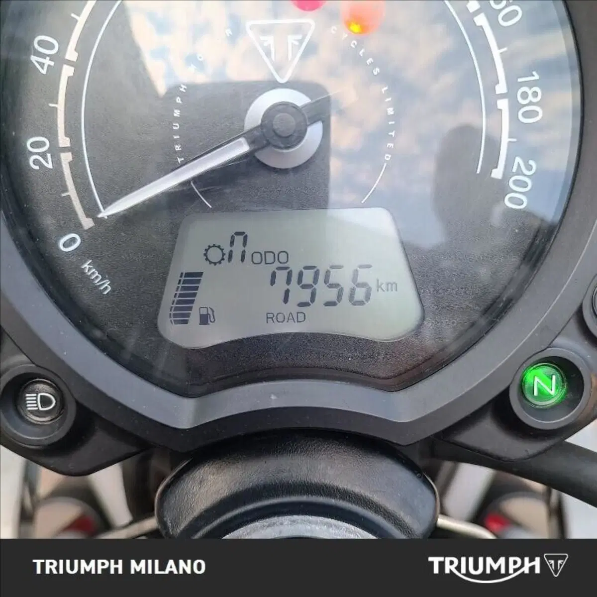 Triumph Street Scrambler 900 (2019 - 20) (5)