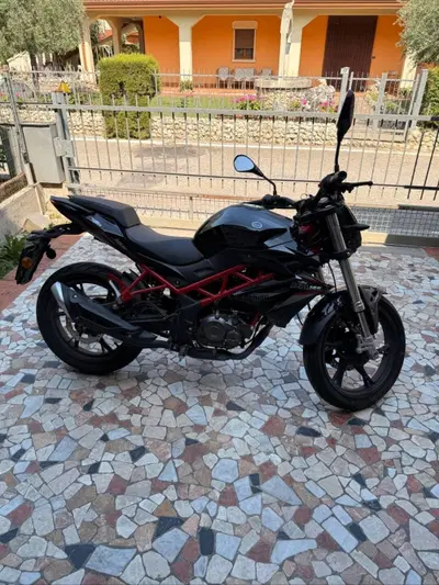 Benelli BN 125 (2021 - 25) usata