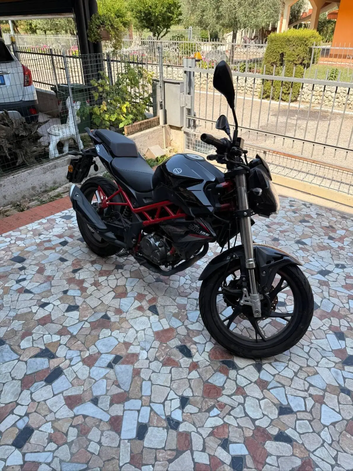 Benelli BN 125 (2021 - 25) (2)