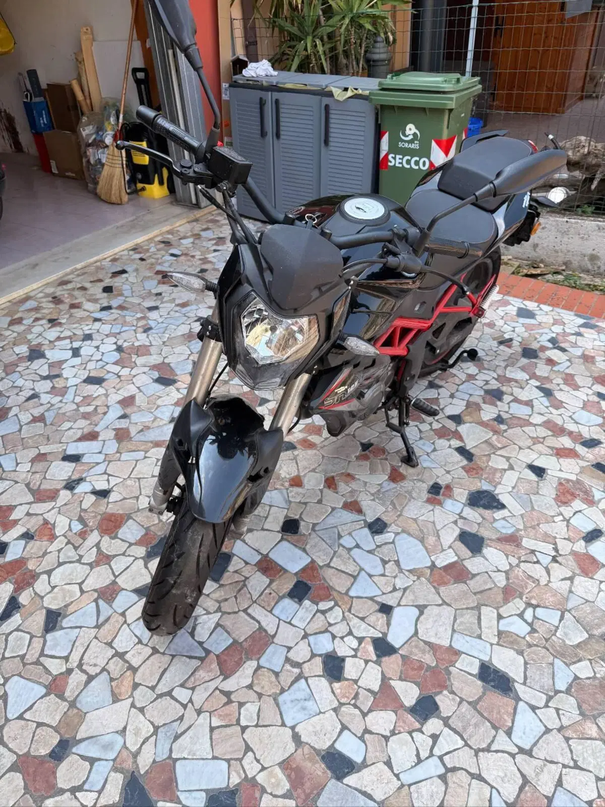 Benelli BN 125 (2021 - 25) (3)