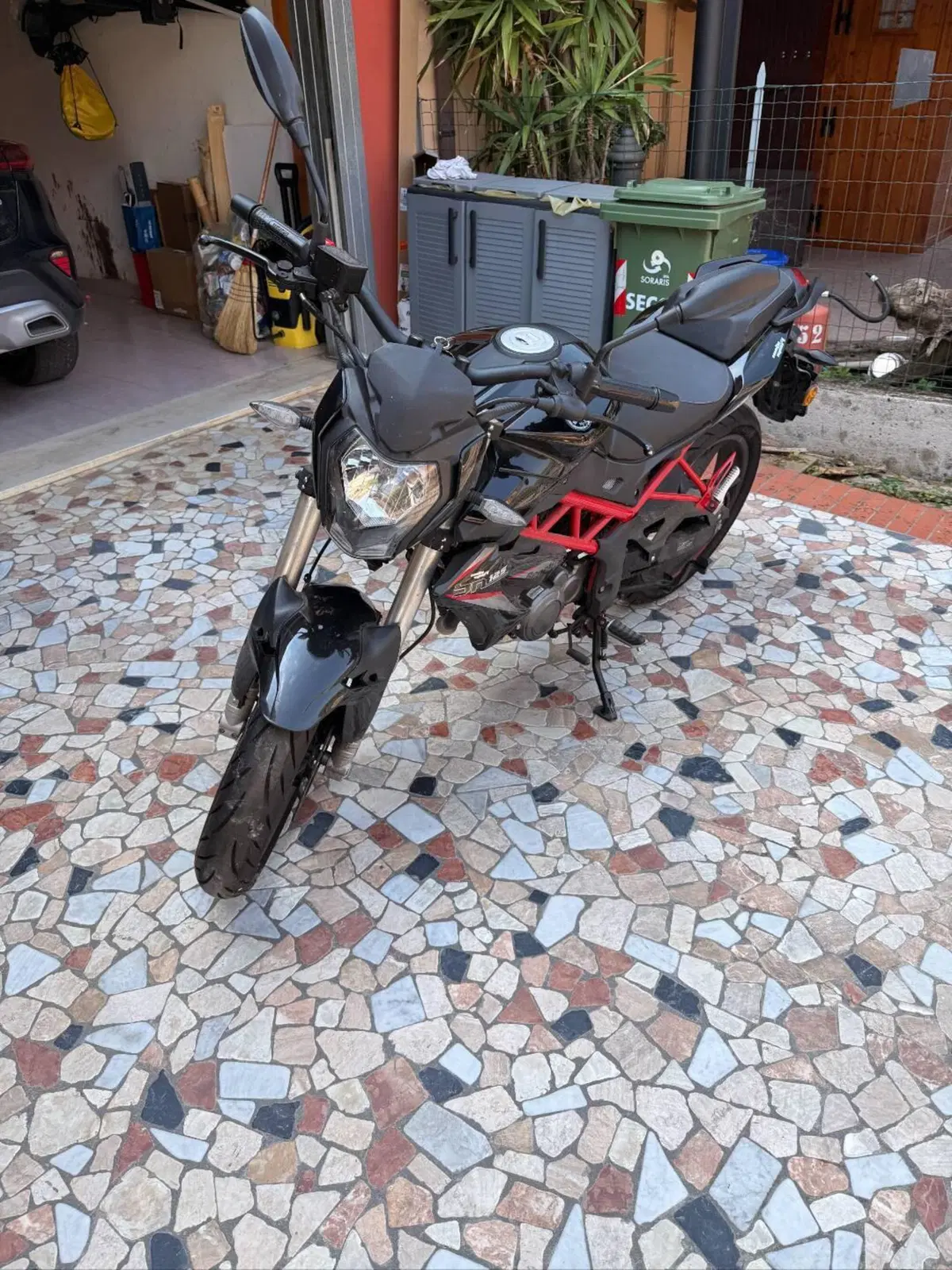 Benelli BN 125 (2021 - 25) (4)