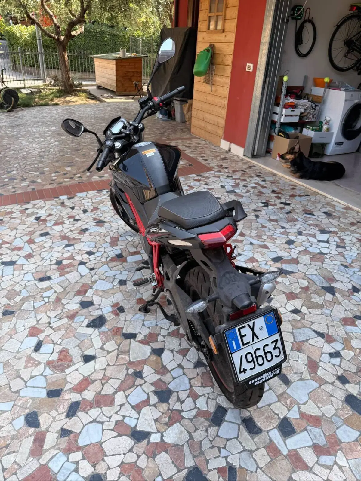 Benelli BN 125 (2021 - 25) (5)