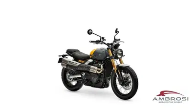 Triumph Scrambler 900 (2026) nuova