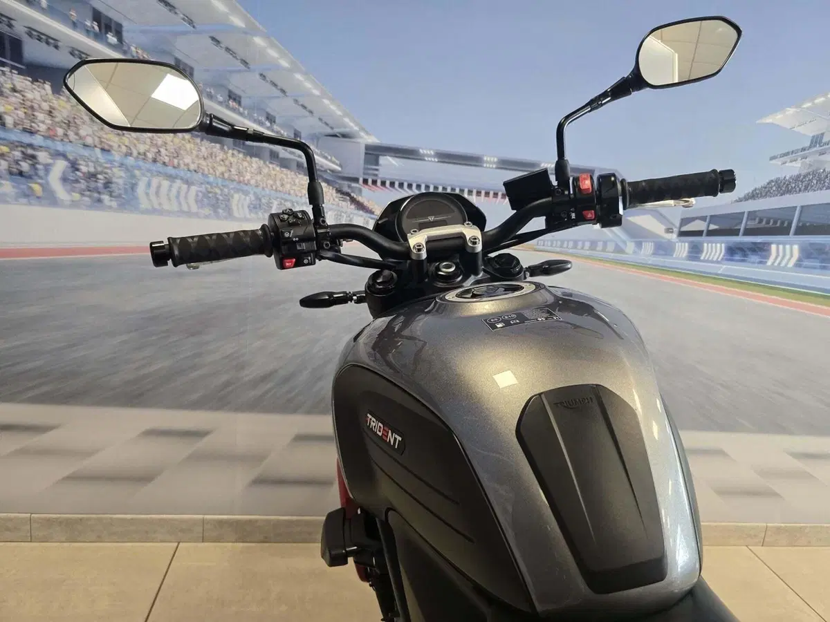 Triumph Trident 660 (2021 - 24) (6)