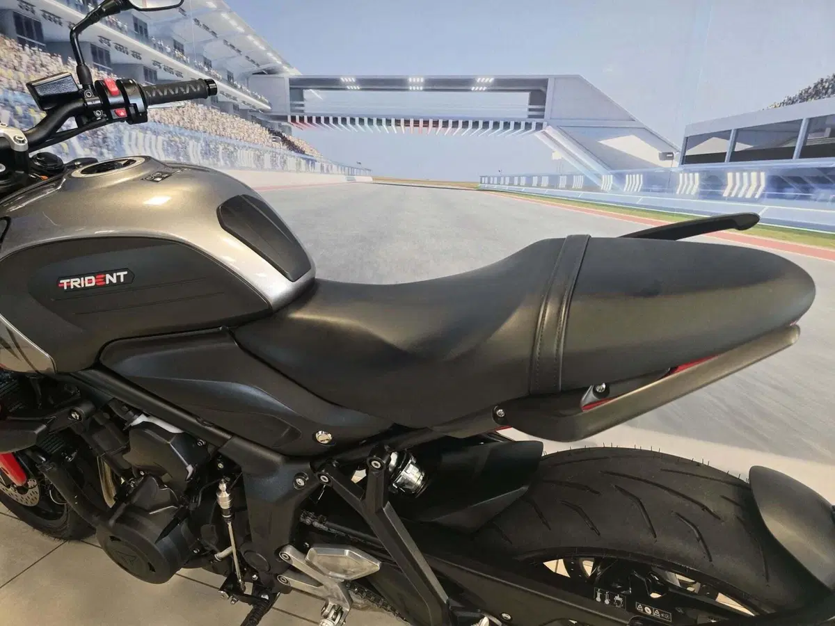 Triumph Trident 660 (2021 - 24) (7)