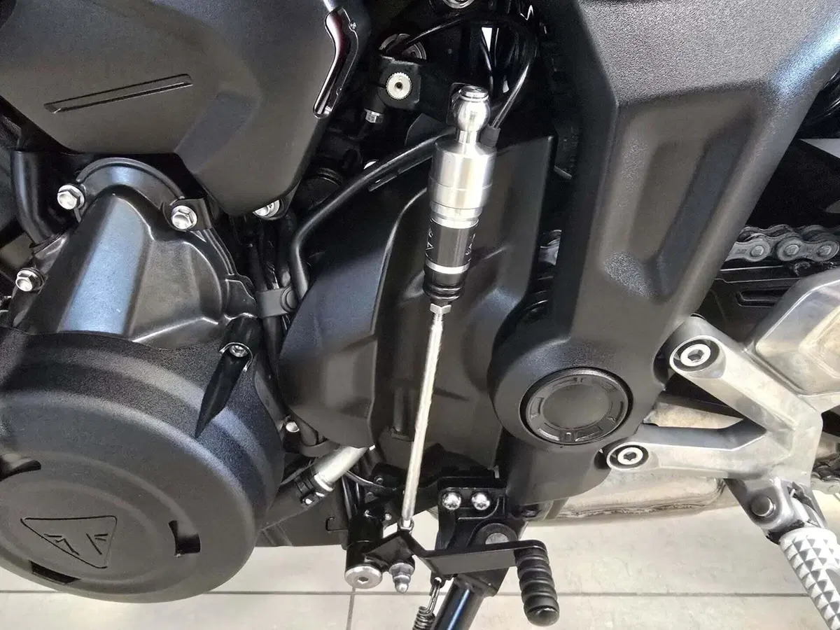 Triumph Trident 660 (2021 - 24) (9)
