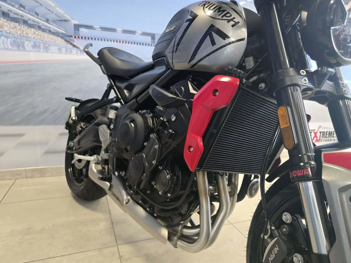 Triumph Trident 660 (2021 - 24) (16)