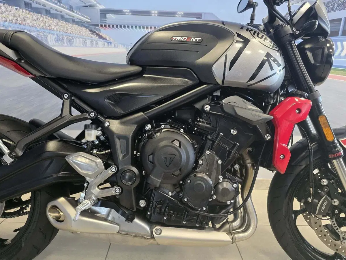 Triumph Trident 660 (2021 - 24) (19)