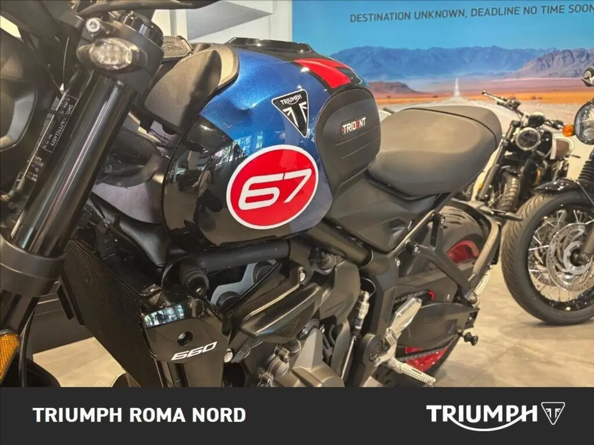 Triumph Trident 660 Triple Tribute Edition (2025 - 26) (6)