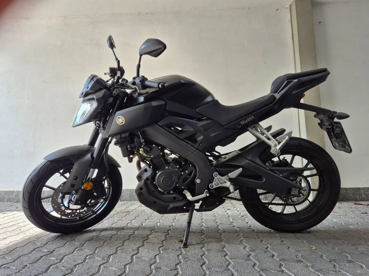 Yamaha MT-125 ABS (2017 - 19) (2)