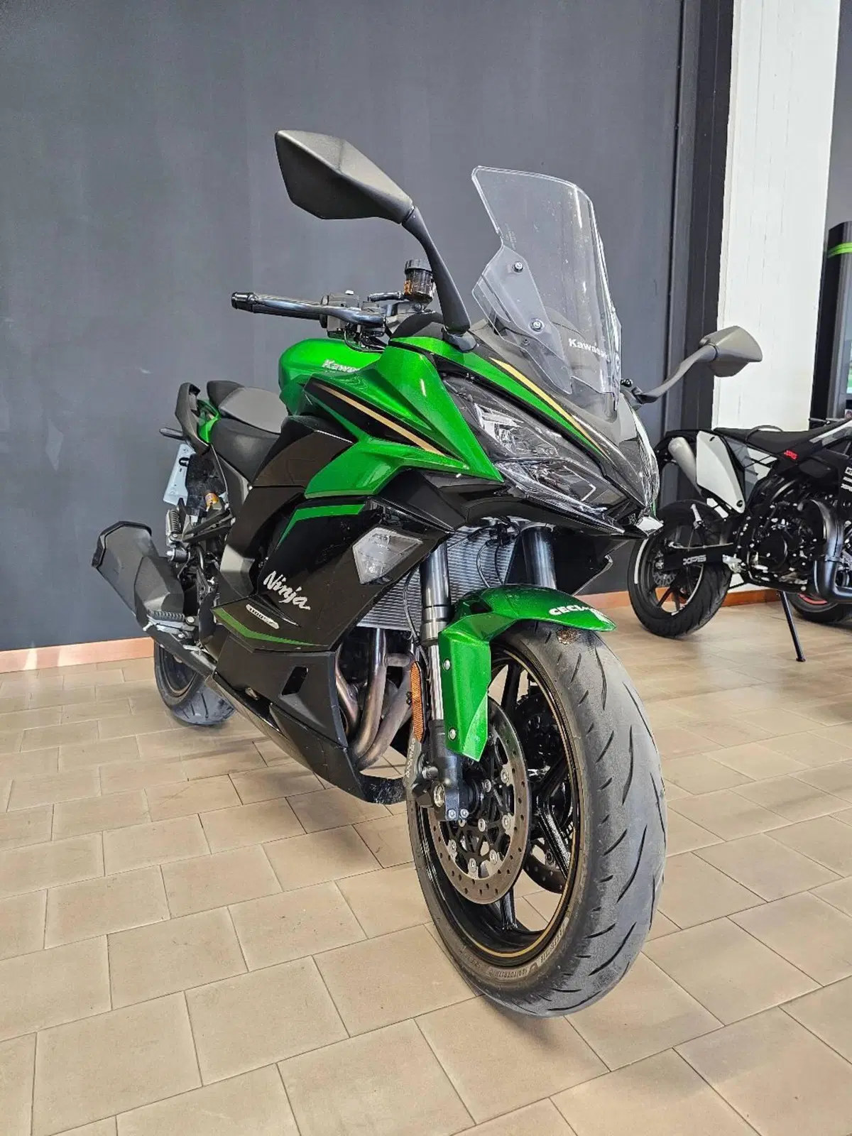Kawasaki Ninja 1100 SX SE (2025 - 26) (4)