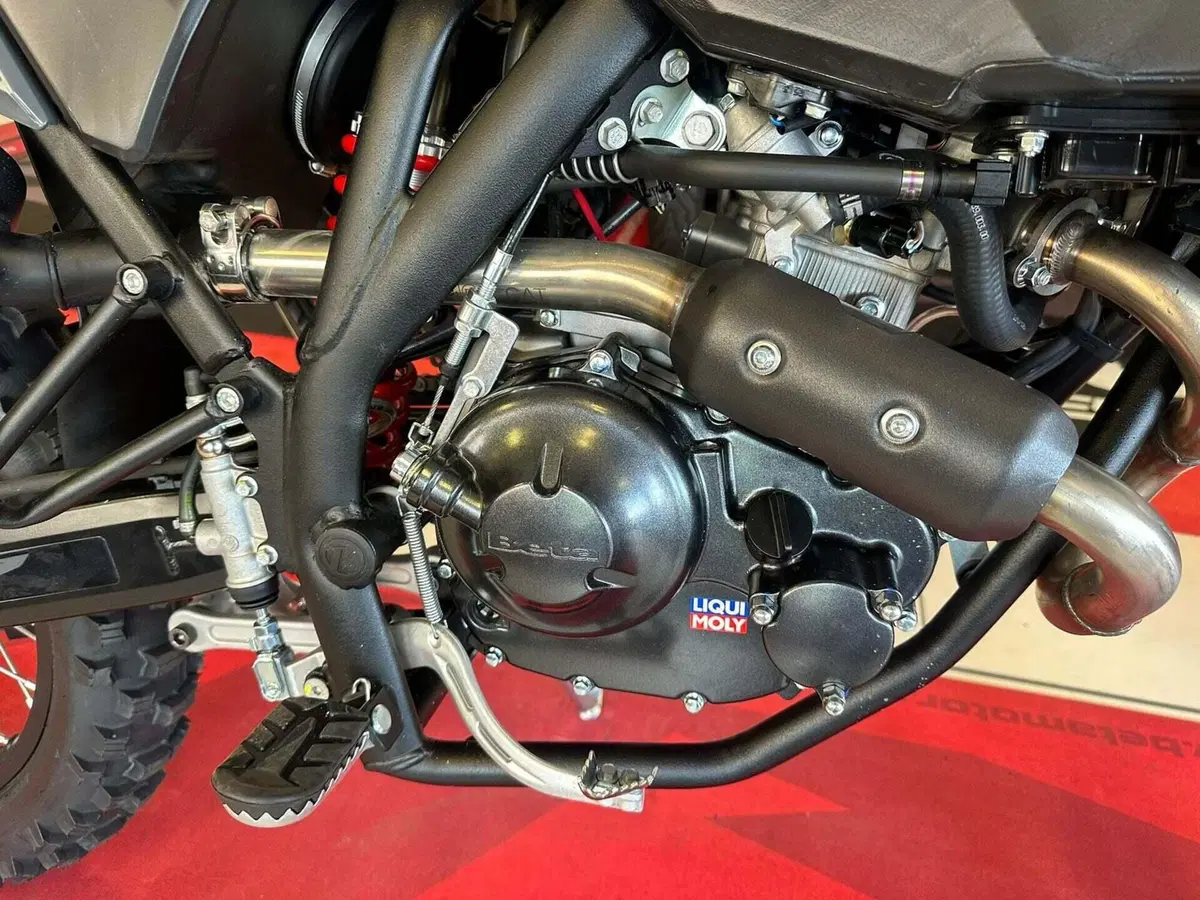 Betamotor RR 125 4T Enduro T - X Special Edition (2025 - 26) (16)