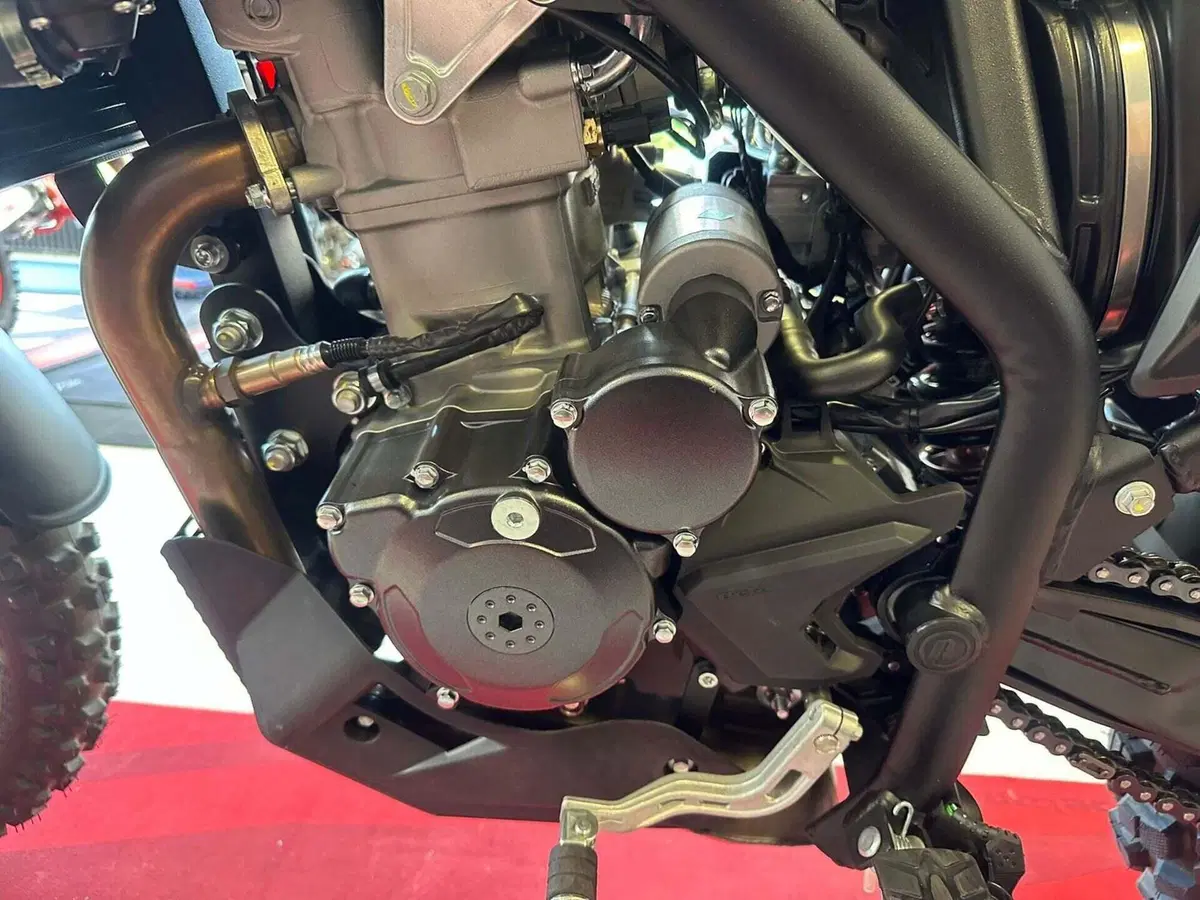Betamotor Alp 4.0 (2024 - 26) (16)