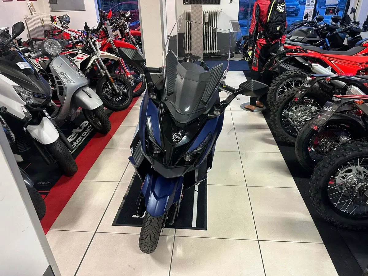 Sym Cruisym 300 (2021 - 24) (8)