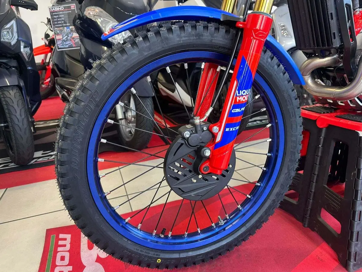Betamotor Sincro 300 2T (2026) (15)
