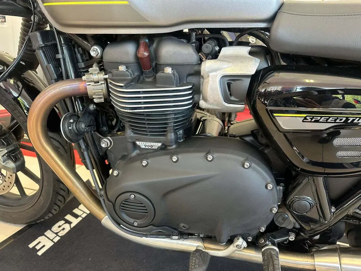 Triumph Speed Twin 900 (2023 - 24) (13)