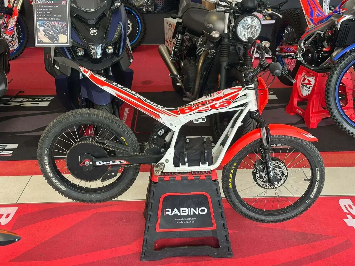 Betamotor Minitrial Electric 16" (2014 - 26) (2)