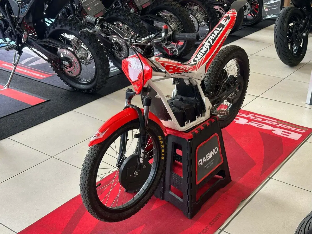Betamotor Minitrial Electric 16" (2014 - 26) (7)