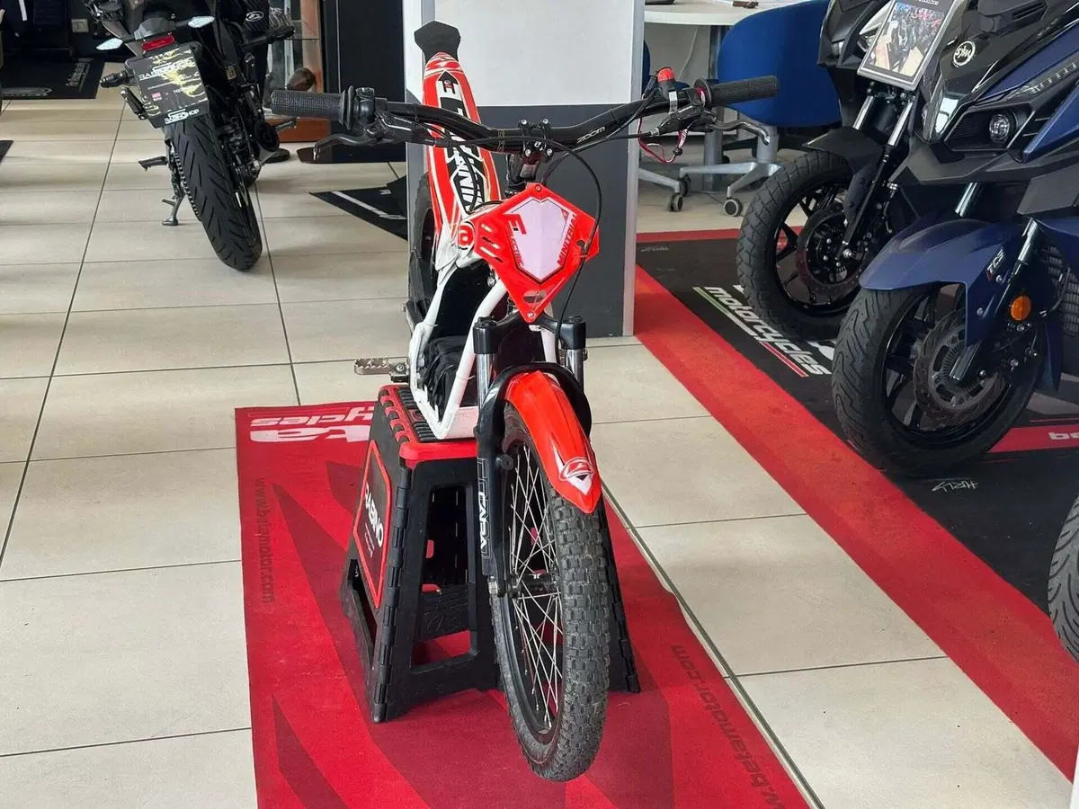 Betamotor Minitrial Electric 16" (2014 - 26) (8)