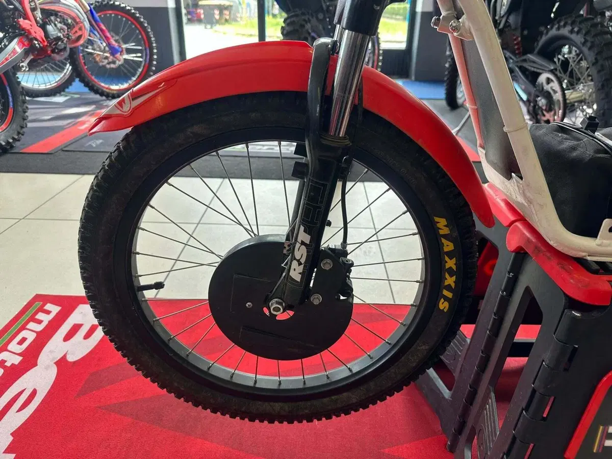 Betamotor Minitrial Electric 16" (2014 - 26) (12)